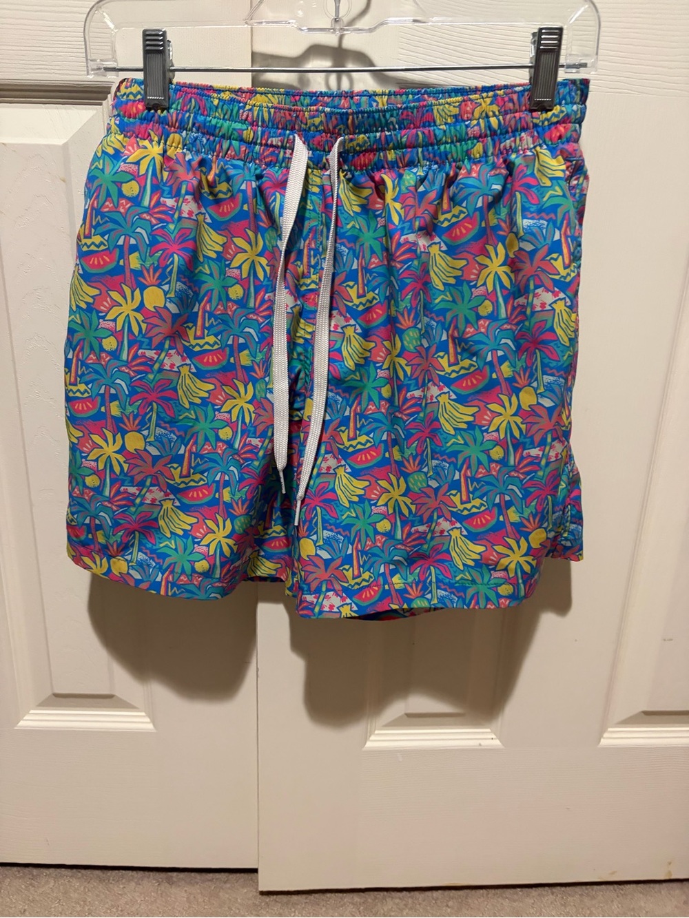 Men's Chubbies Swim Trunks